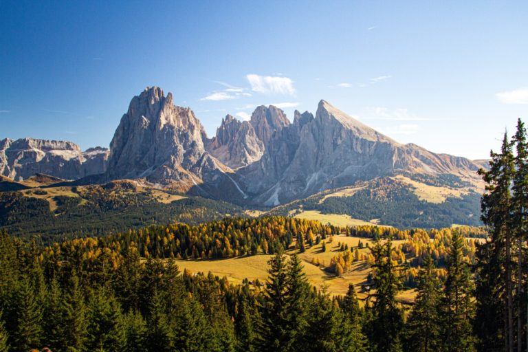 beautiful-shot-grassy-hills-covered-trees-near-mountains-dolomites-italy.jpg